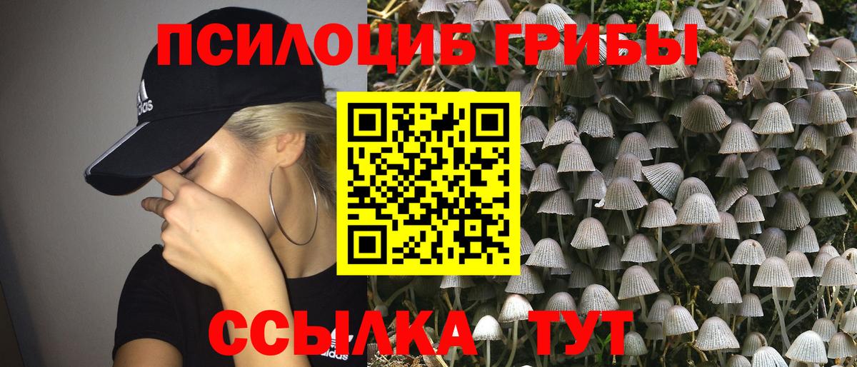 Волжский  Псилоцибиновые грибы прущие грибы  Вход с VPN  где купить   Галлюциногенные грибы Psilocybe 
