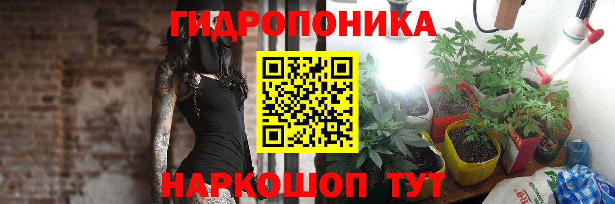 Бошки Шишки Bruce Banner  Конопля гибрид  Каннабис LSD WEED  Вход с VPN  Волжский 